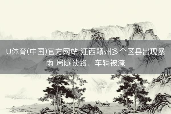 U体育(中国)官方网站 江西赣州多个区县出现暴雨 局隧谈路、车辆被淹