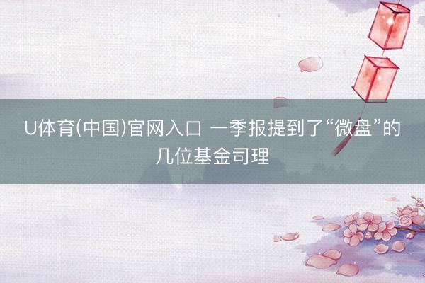 U体育(中国)官网入口 一季报提到了“微盘”的几位基金司理