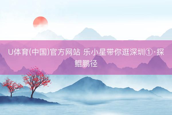 U体育(中国)官方网站 乐小星带你逛深圳①·探鲲鹏径