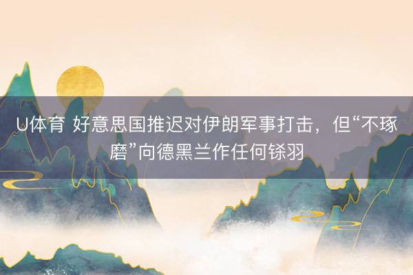 U体育 好意思国推迟对伊朗军事打击，但“不琢磨”向德黑兰作任何铩羽