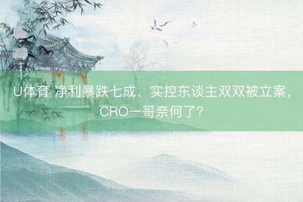 U体育 净利暴跌七成、实控东谈主双双被立案,CRO一哥奈何了?