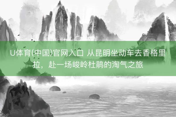 U体育(中国)官网入口 从昆明坐动车去香格里拉，赴一场峻岭杜鹃的淘气之旅