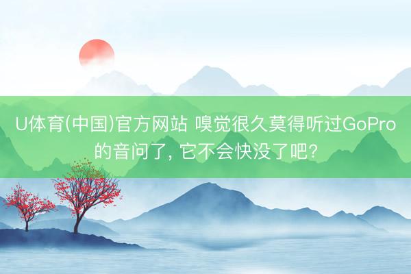U体育(中国)官方网站 嗅觉很久莫得听过GoPro的音问了， 它不会快没了吧?