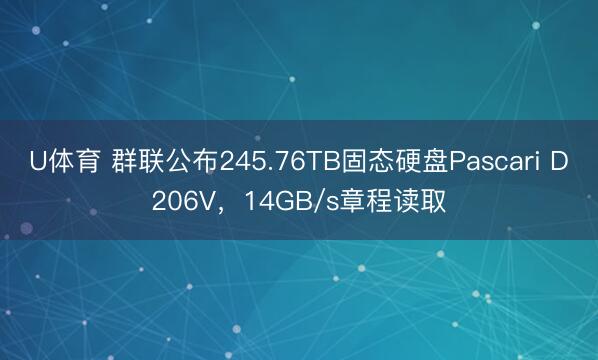 U体育 群联公布245.76TB固态硬盘Pascari D206V,14GB/s章程读取