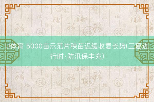 U体育 5000亩示范片秧苗迟缓收复长势(三夏进行时·防汛保丰充)