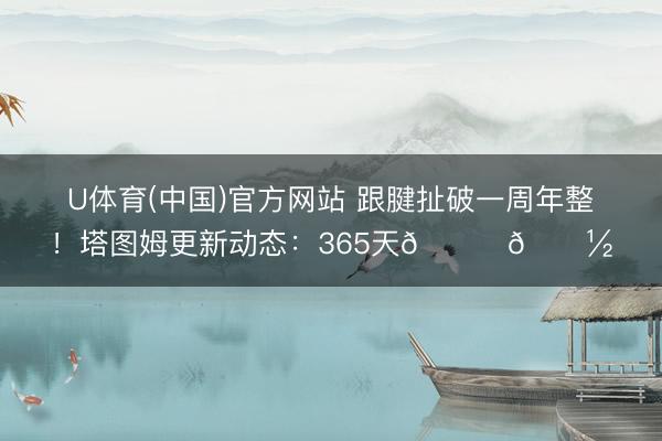 U体育(中国)官方网站 跟腱扯破一周年整！塔图姆更新动态：365天🙏🏽