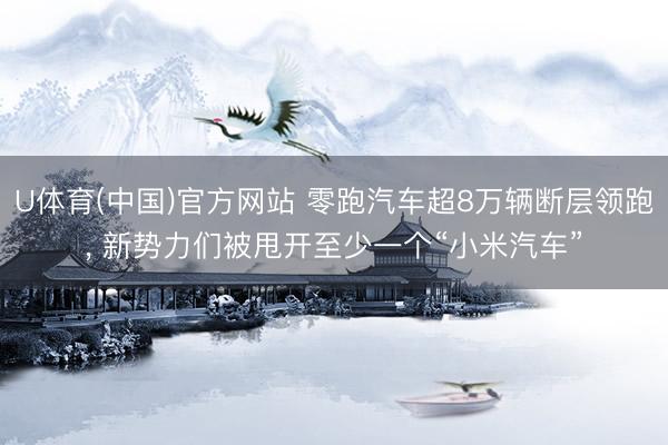 U体育(中国)官方网站 零跑汽车超8万辆断层领跑， 新势力们被甩开至少一个“小米汽车”