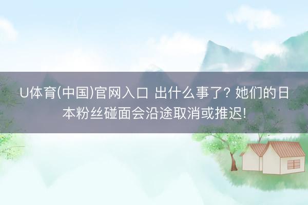 U体育(中国)官网入口 出什么事了? 她们的日本粉丝碰面会沿途取消或推迟!