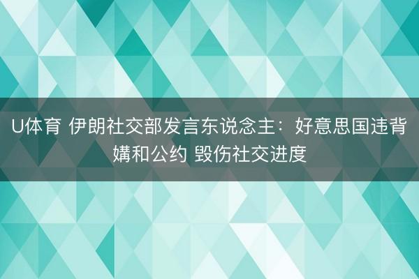 U体育 伊朗社交部发言东说念主：好意思国违背媾和公约 毁伤社交进度