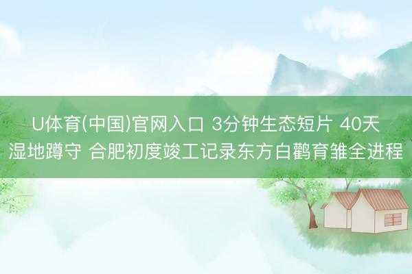 U体育(中国)官网入口 3分钟生态短片 40天湿地蹲守 合肥初度竣工记录东方白鹳育雏全进程