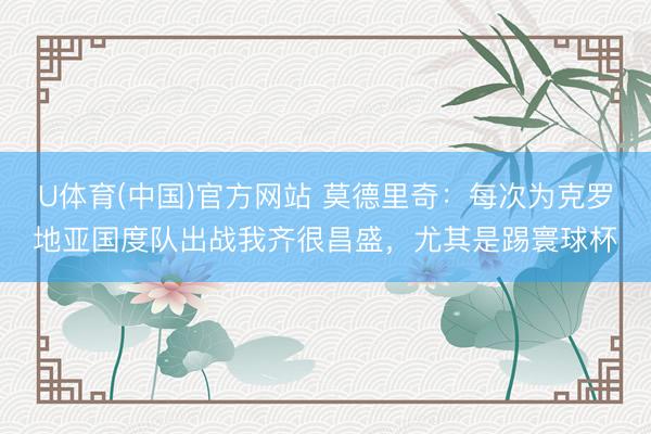 U体育(中国)官方网站 莫德里奇：每次为克罗地亚国度队出战我齐很昌盛，尤其是踢寰球杯