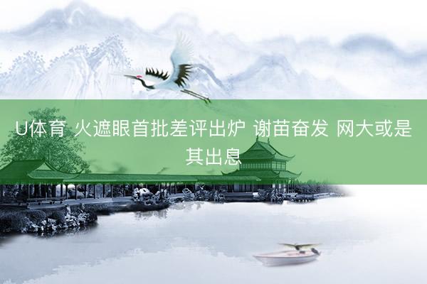 U体育 火遮眼首批差评出炉 谢苗奋发 网大或是其出息