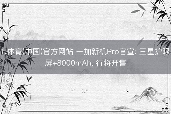 U体育(中国)官方网站 一加新机Pro官宣: 三星护眼屏+8000mAh， 行将开售