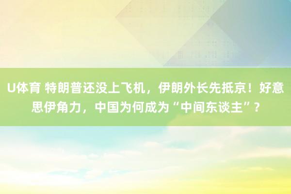U体育 特朗普还没上飞机，伊朗外长先抵京！好意思伊角力，中国为何成为“中间东谈主”？